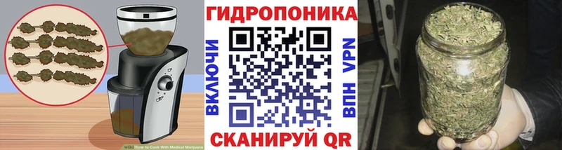 Cannafood конопля  магазин продажи наркотиков  Кущёвская 