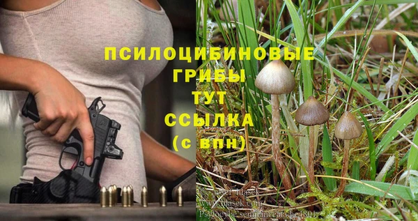 спайс Магадан